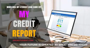When Does Student Loan Disappear from Credit Report: A Timeline