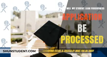 Student Loan Forgiveness Application Processing Timeline: What to Expect