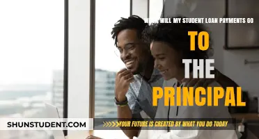 Understanding When Student Loan Payments Start Reducing Your Principal Balance