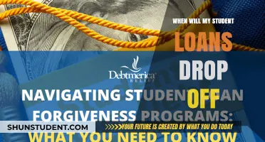 When Do Student Loans Disappear? Understanding Loan Forgiveness Timelines
