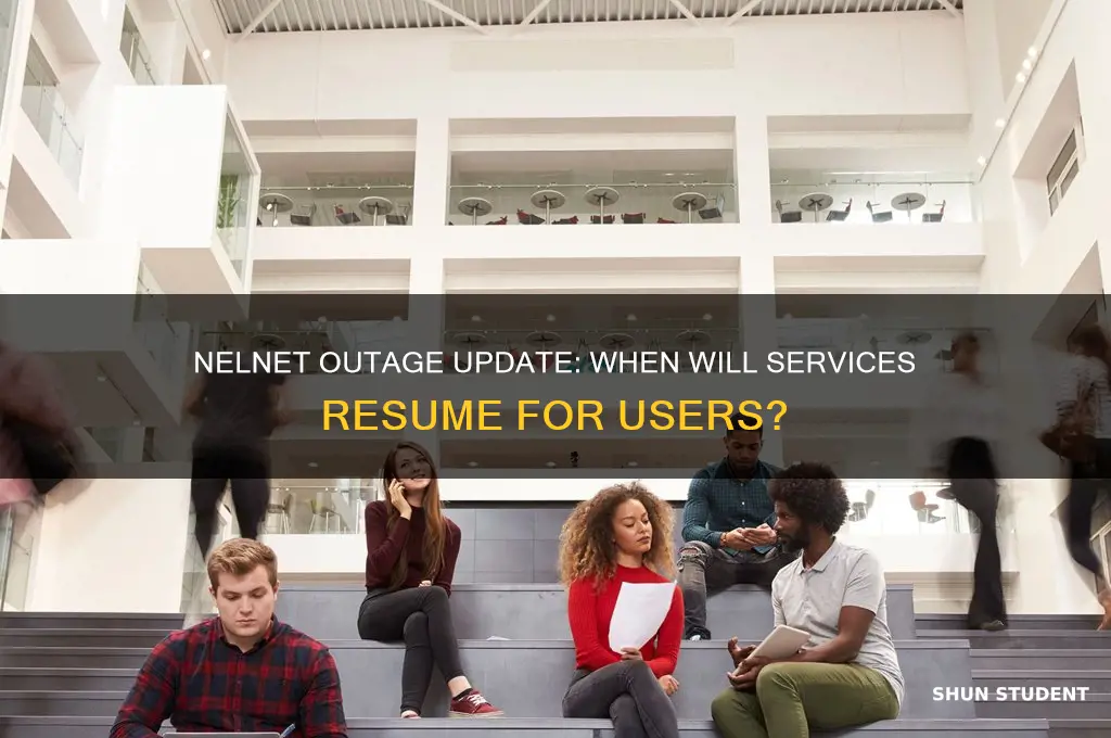 when will nelnet be back up