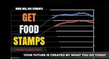 NYC Students and Food Stamps: When Will Assistance Arrive?