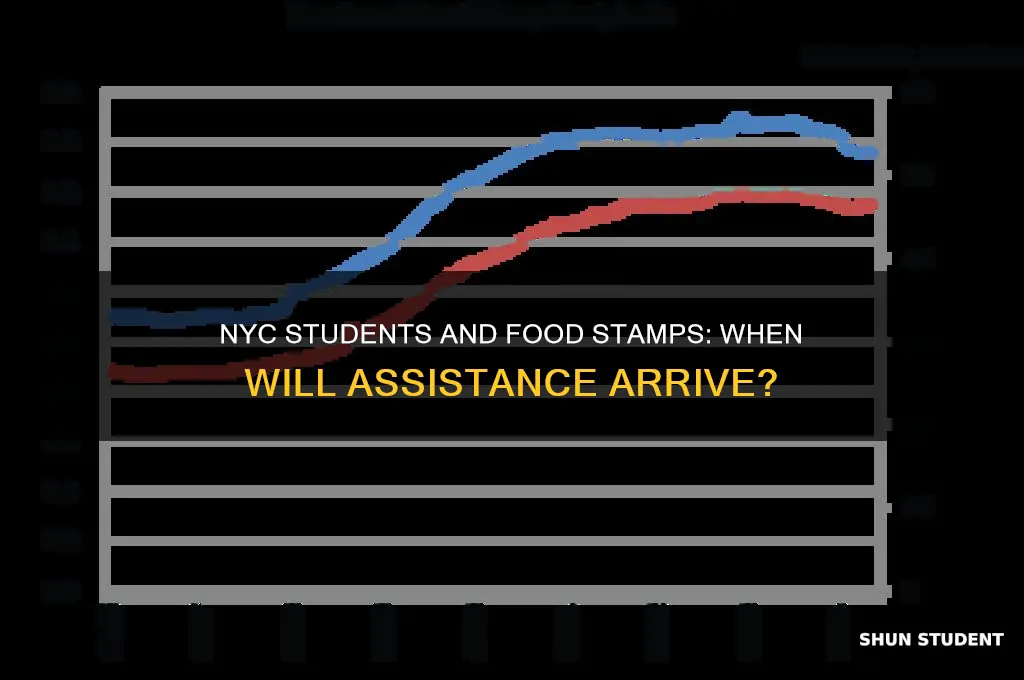 when will nyc students get food stamps