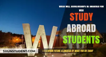 WSU Study Abroad Scholarships: Award Timeline and Key Dates