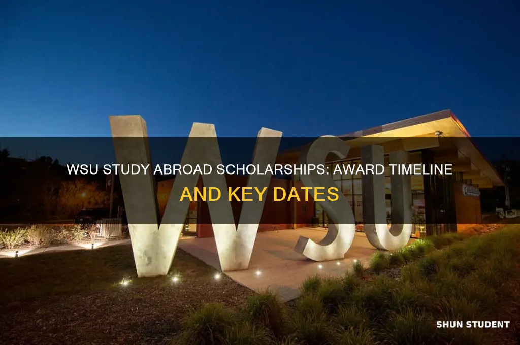 when will scholorships be awarded for wsu study abroad students