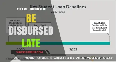 Why Your Student Loan Disbursement is Delayed and What to Do