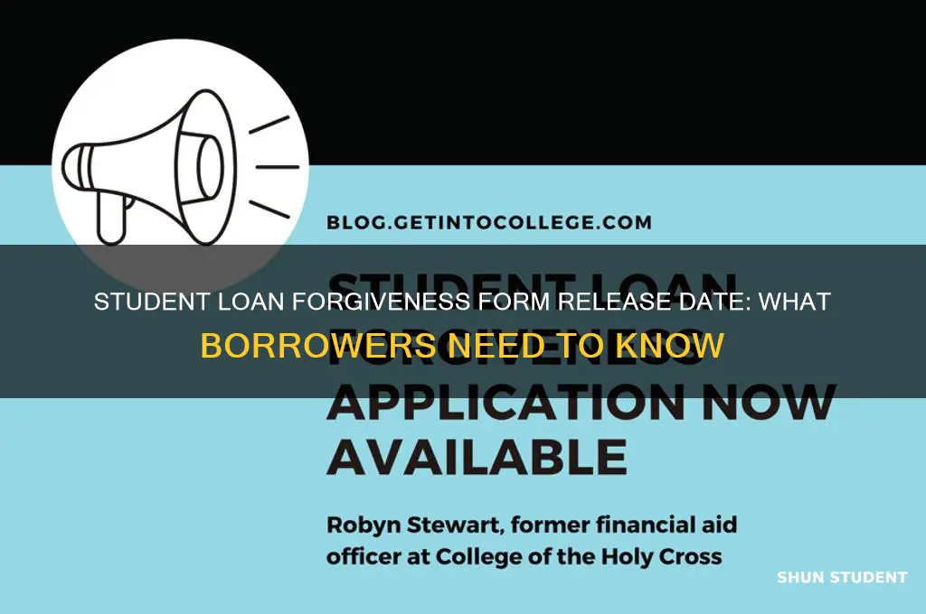 when will student loan forgiveness form be available