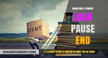 When Will the Student Loan Pause End: What Borrowers Need to Know