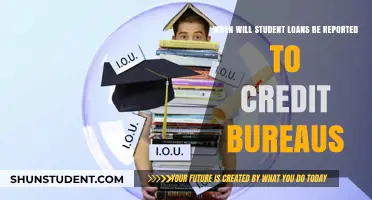 When Do Student Loans Appear on Credit Reports?