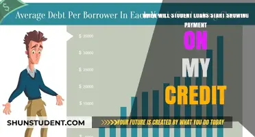 When Will Student Loan Payments Appear on My Credit Report?