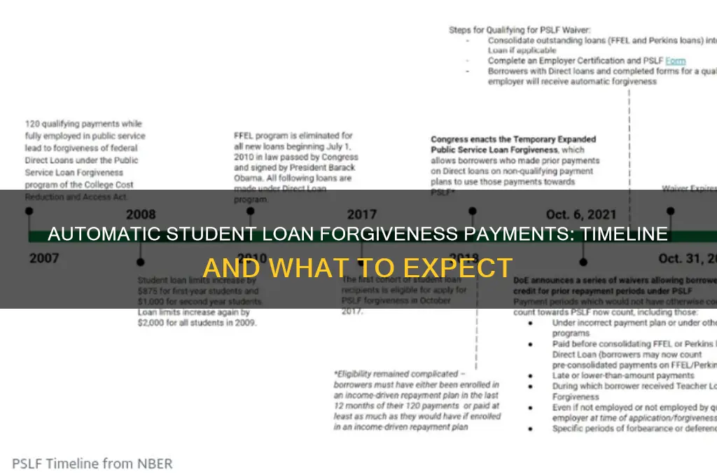 when will the automatic student loan forgiveness be paid