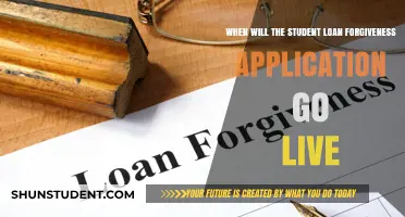 Student Loan Forgiveness Application Launch Date: What Borrowers Need to Know