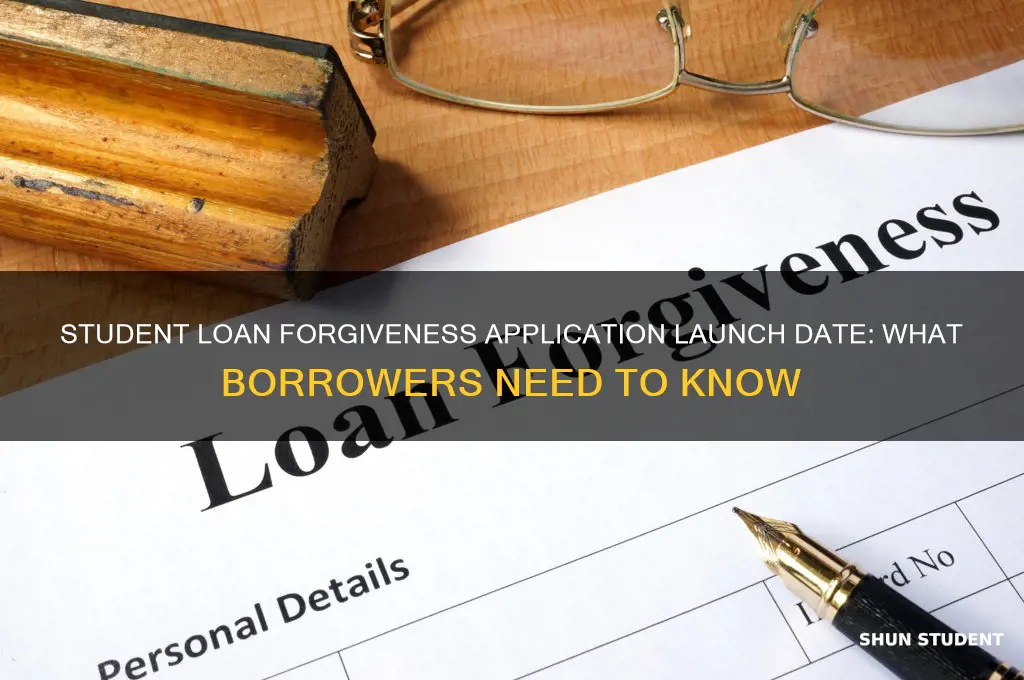 when will the student loan forgiveness application go live