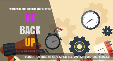 Student Self-Service Downtime: When Will It Be Back Online?