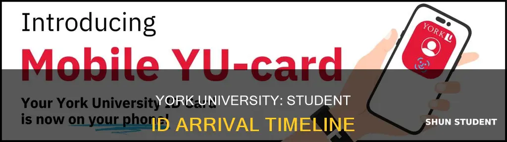 when will york university send me student id