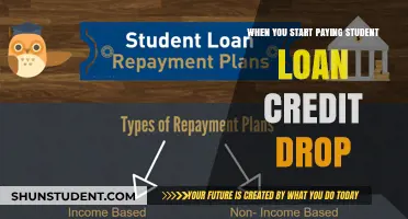Student Loan Repayment: Credit Score Impact