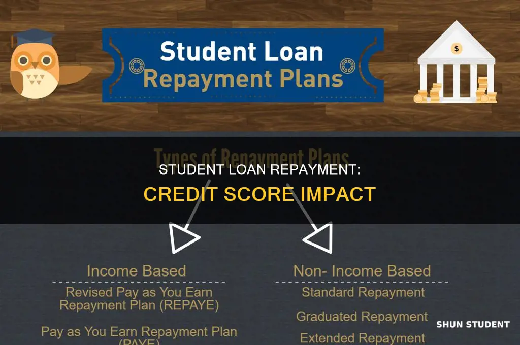 when you start paying student loan credit drop