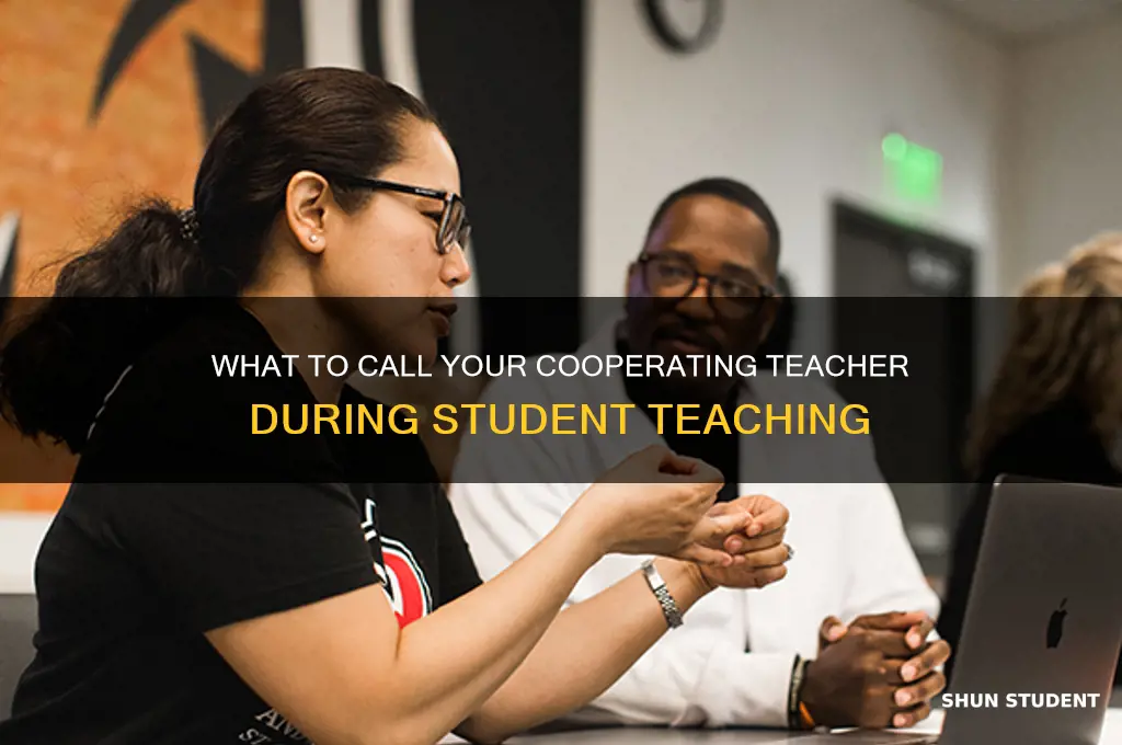 when you student teach what do you call the teacher