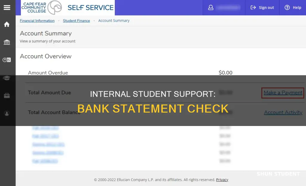 when you support an internal student college bank statement check