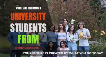 Global Reach: Exploring Binghamton's International Student Diversity