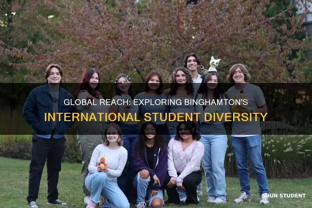 where are binghamton university students from