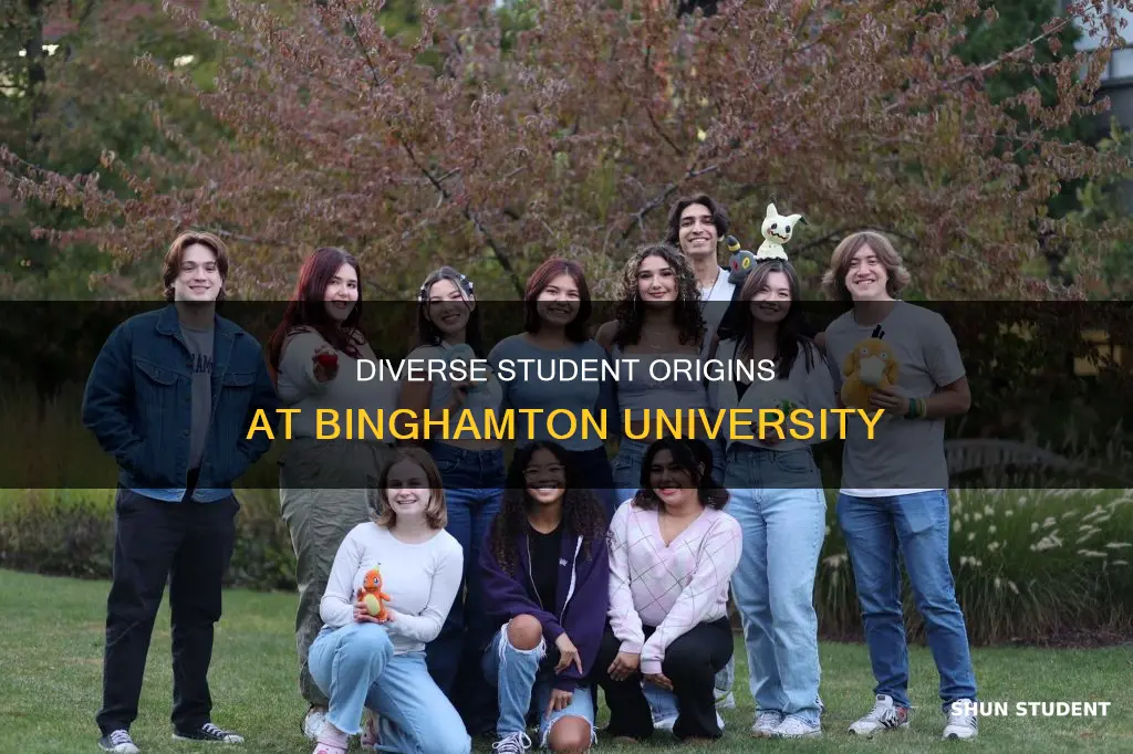 where are binghamton university students from