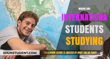 International Students: Where Do They Study?
