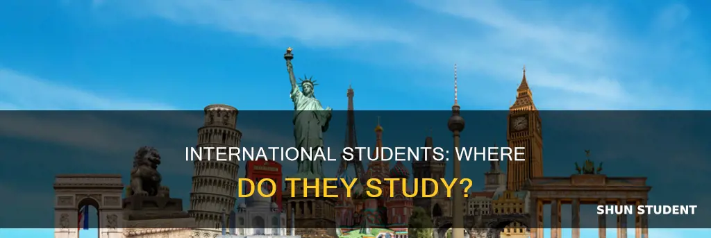 where are international students studying