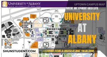 Unveiling the Secrets: Student Gold Lots at University at Albany