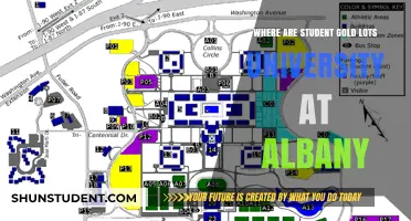 Gold Lots: Where Students Park at University at Albany