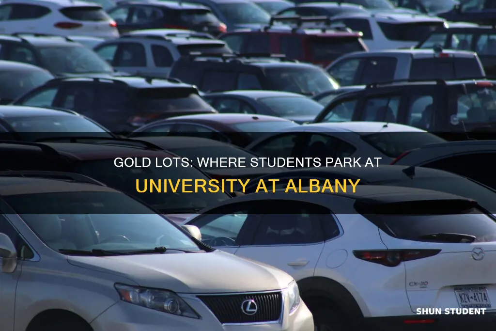 where are student gold lots university at albany