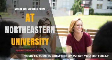 Diverse Student Body: Northeastern University's Global Reach