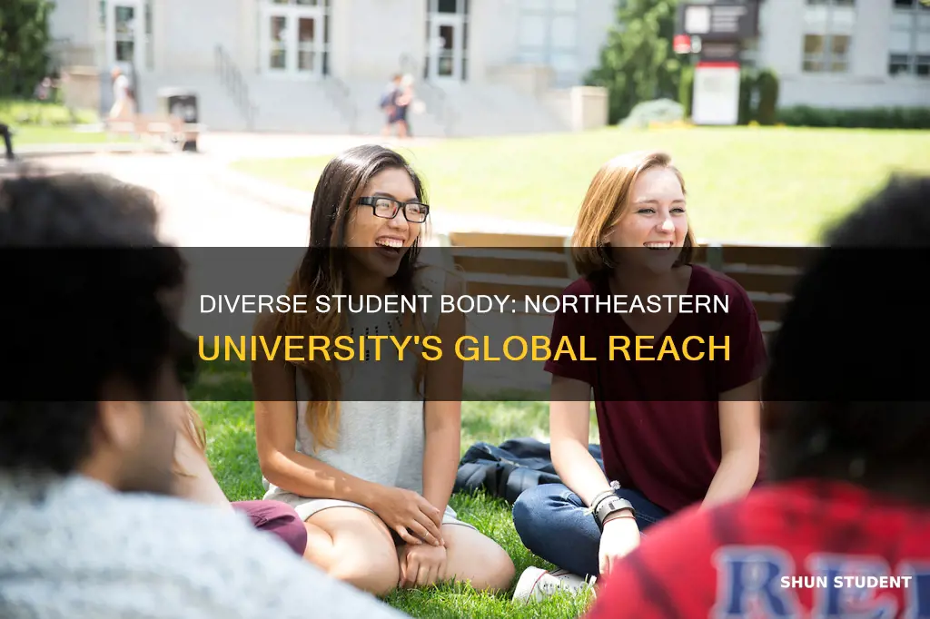 where are students from at northeastern university