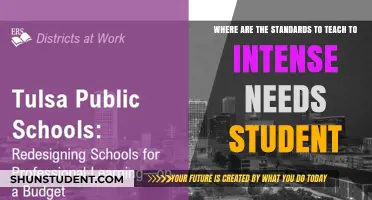 Teaching Intense Needs Students: Navigating the Lack of Clear Standards