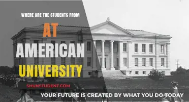 Diverse Student Body: Exploring American University's International Reach