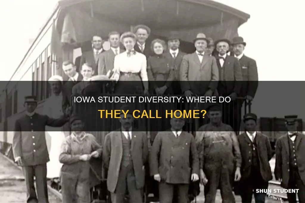 where are university of iowa students from