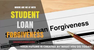 Student Loan Forgiveness: Current Status, Challenges, and Future Prospects