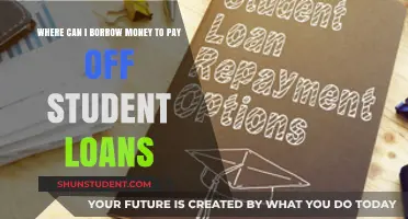 Borrowing Options to Pay Off Student Loans
