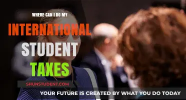 International Student Taxes: Where to File?
