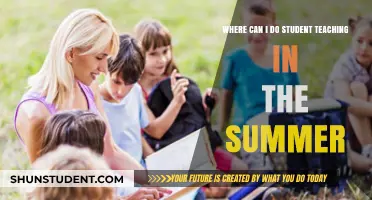 Summer Student Teaching Opportunities: Locations and Programs to Explore