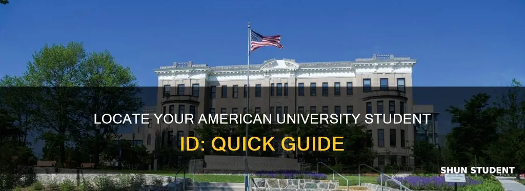 where can i find my student id american university