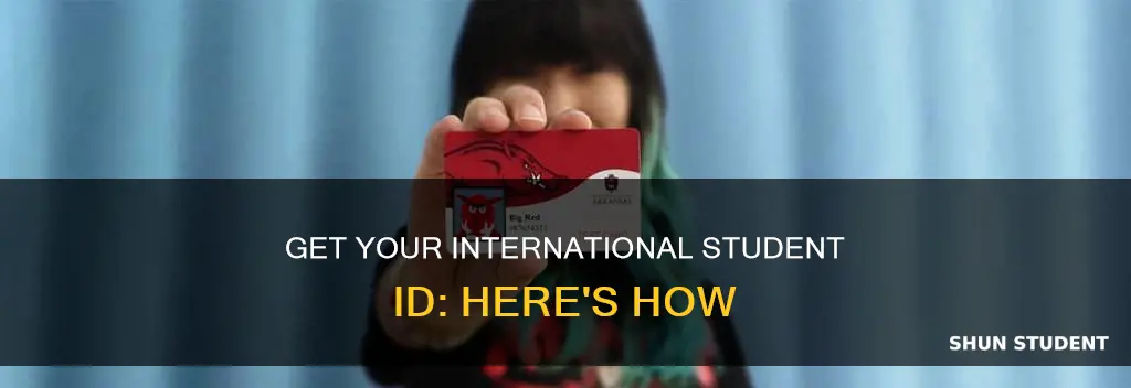 where can i get an international student id