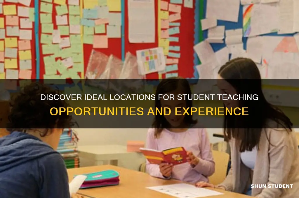where can i student teach