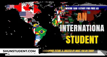 Free Study Options for International Students