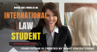 Best Places for International Law Students to Work