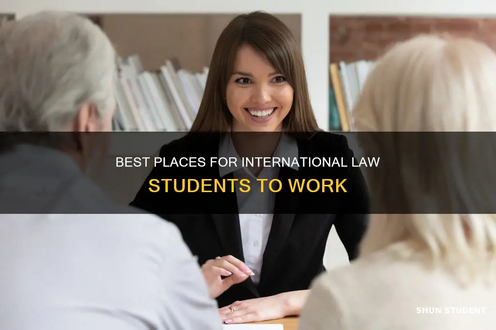 where can i work as an international law student