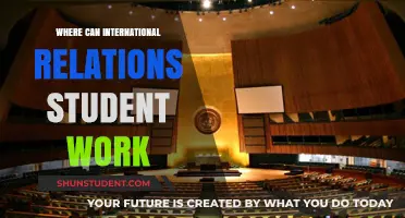 Career Options for International Relations Students