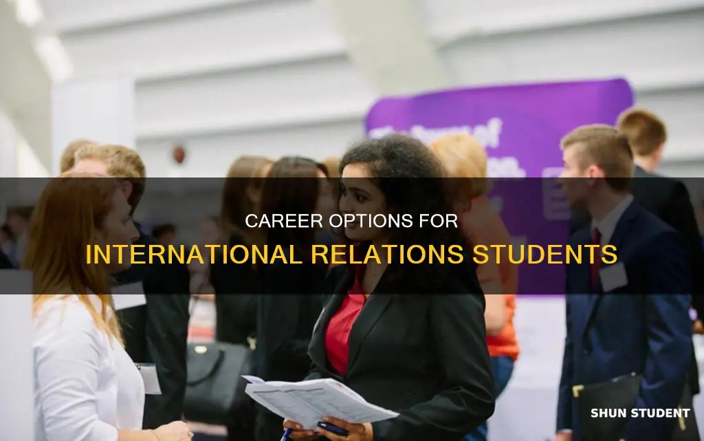 where can international relations student work