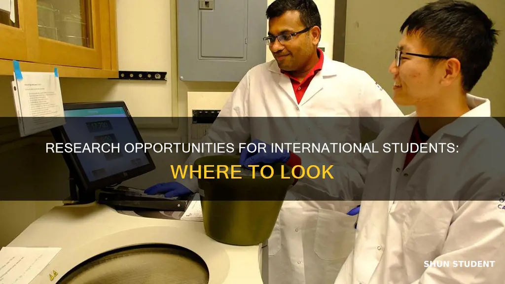 where can international student do research
