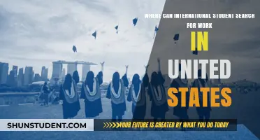 Job Hunting for International Students in the US